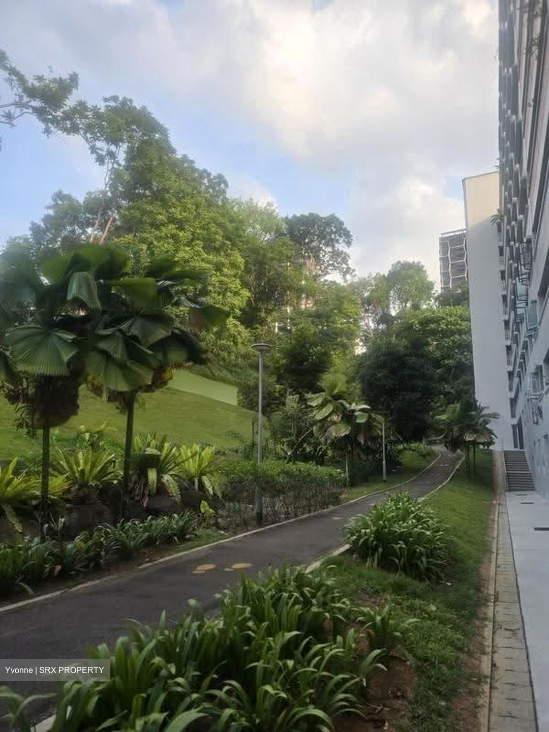 Blk 202 Petir Road (Bukit Panjang), HDB 4 Rooms #609502131